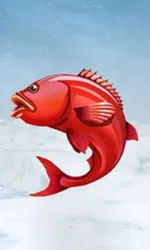Ice Fishing